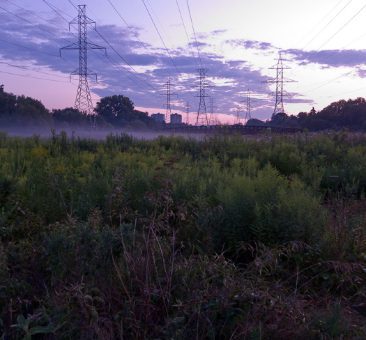 Humber River at dawn again