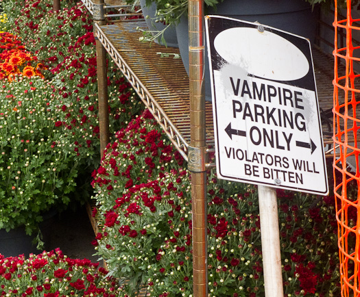 Vampire Parking Only