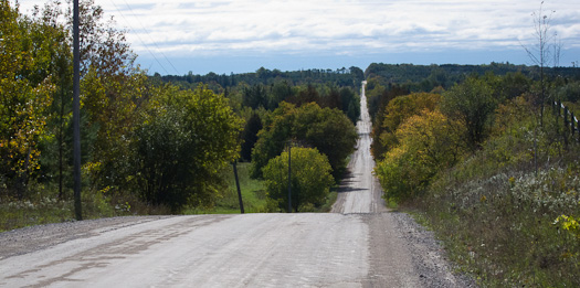 Looking south on concession road 3